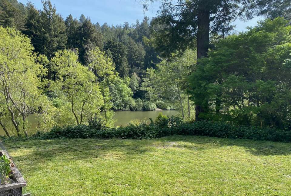 Riverfront Modern Oasis - Monte Rio, California