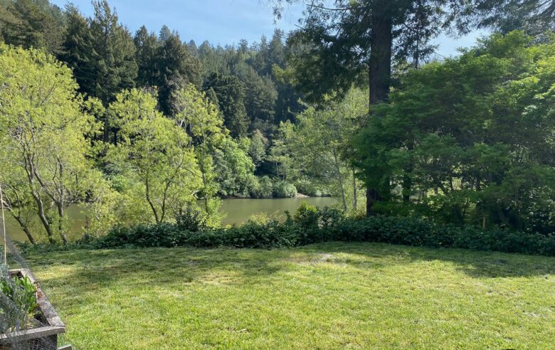 Riverfront Modern Oasis - Monte Rio, California