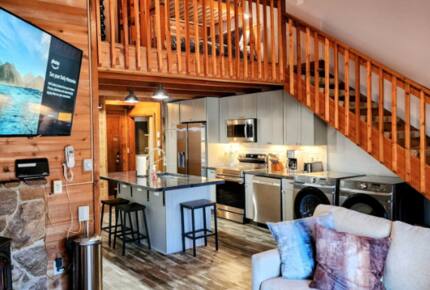 Powder Monkey Ski Out and Pet Friendly! - Snowshoe, West Virginia