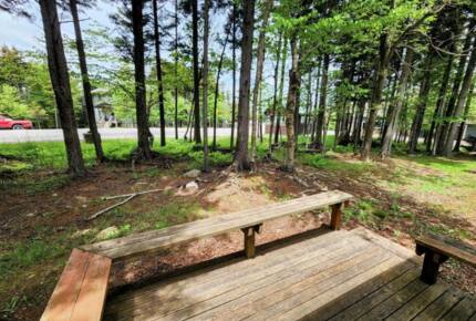 Powder Monkey Ski Out and Pet Friendly! - Snowshoe, West Virginia