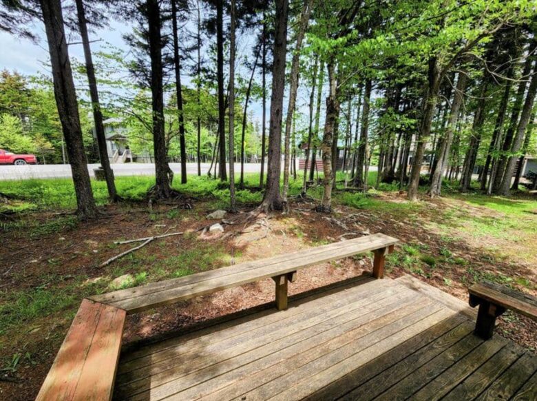 Powder Monkey Ski Out and Pet Friendly! - Snowshoe, West Virginia