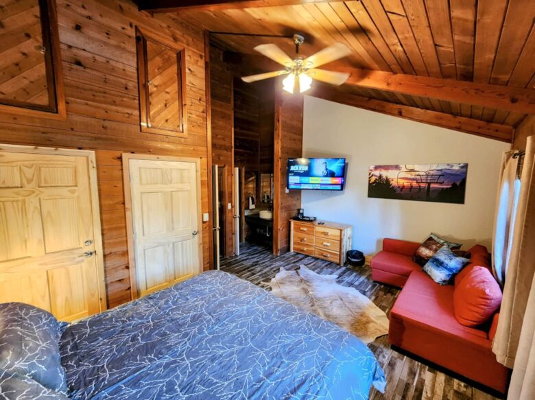 Powder Monkey Ski Out and Pet Friendly! - Snowshoe, West Virginia