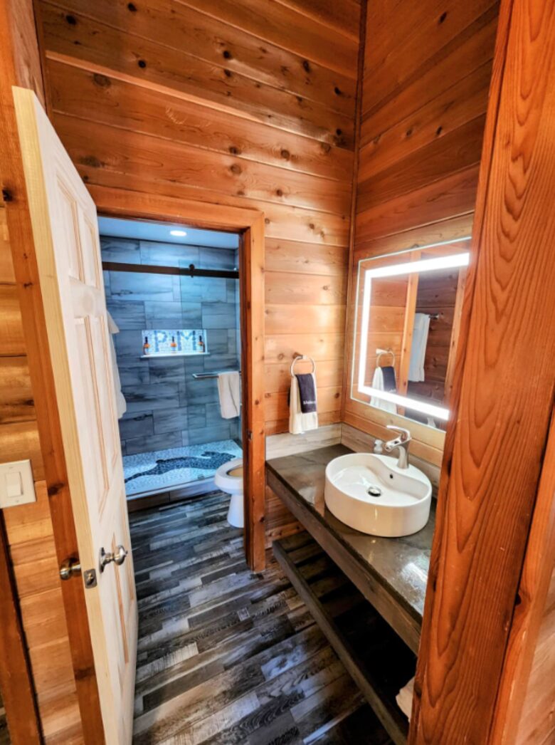 Powder Monkey Ski Out and Pet Friendly! - Snowshoe, West Virginia