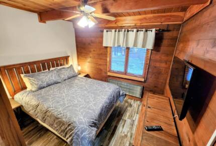 Powder Monkey Ski Out and Pet Friendly! - Snowshoe, West Virginia