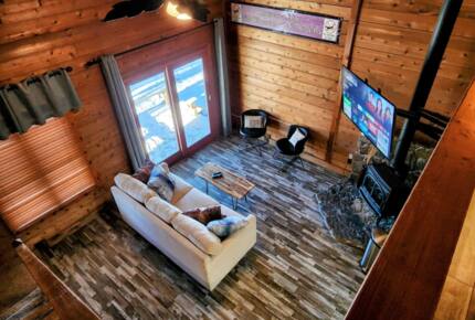 Powder Monkey Ski Out and Pet Friendly! - Snowshoe, West Virginia