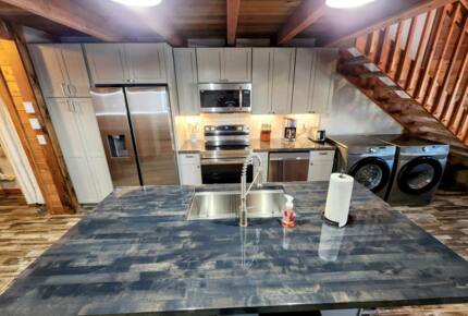 Powder Monkey Ski Out and Pet Friendly! - Snowshoe, West Virginia