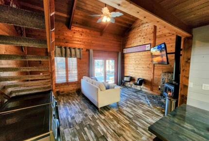 Powder Monkey Ski Out and Pet Friendly! - Snowshoe, West Virginia