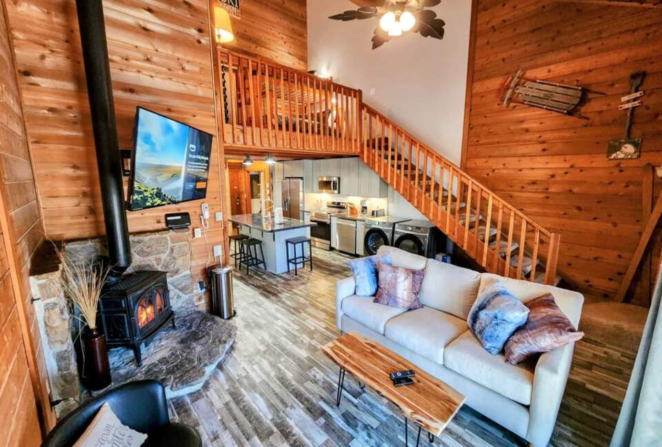 Powder Monkey Ski Out and Pet Friendly! - Snowshoe, West Virginia