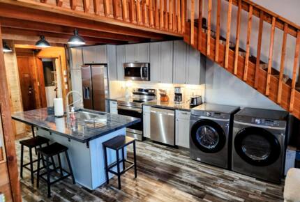 Powder Monkey Ski Out and Pet Friendly! - Snowshoe, West Virginia