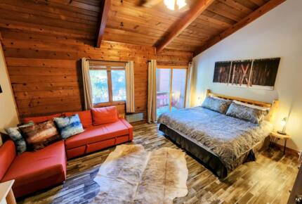 Powder Monkey Ski Out and Pet Friendly! - Snowshoe, West Virginia