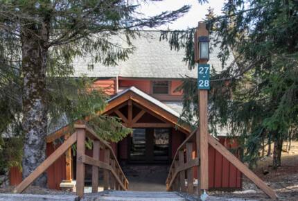 Treetop Walk To Ski and Village - Snowshoe, West Virginia