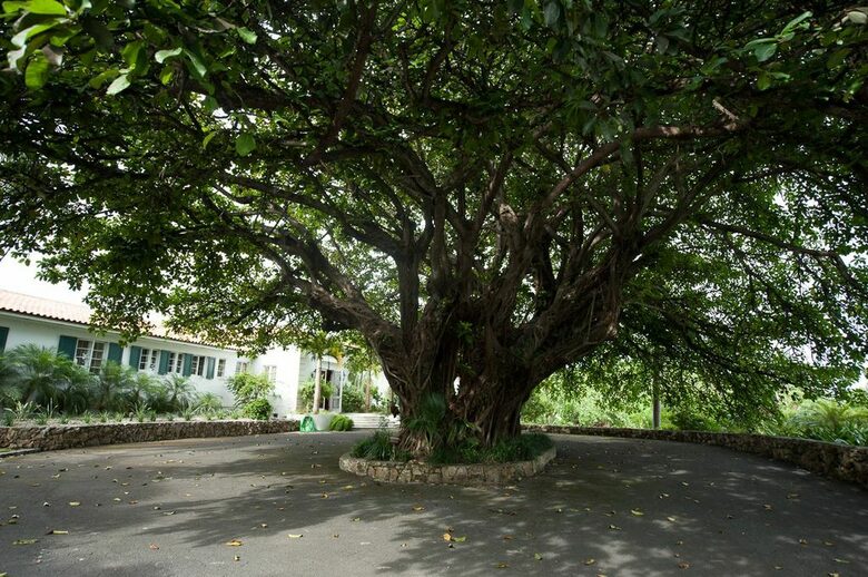 King Edward VIII's Estate - Nassau, Bahamas
