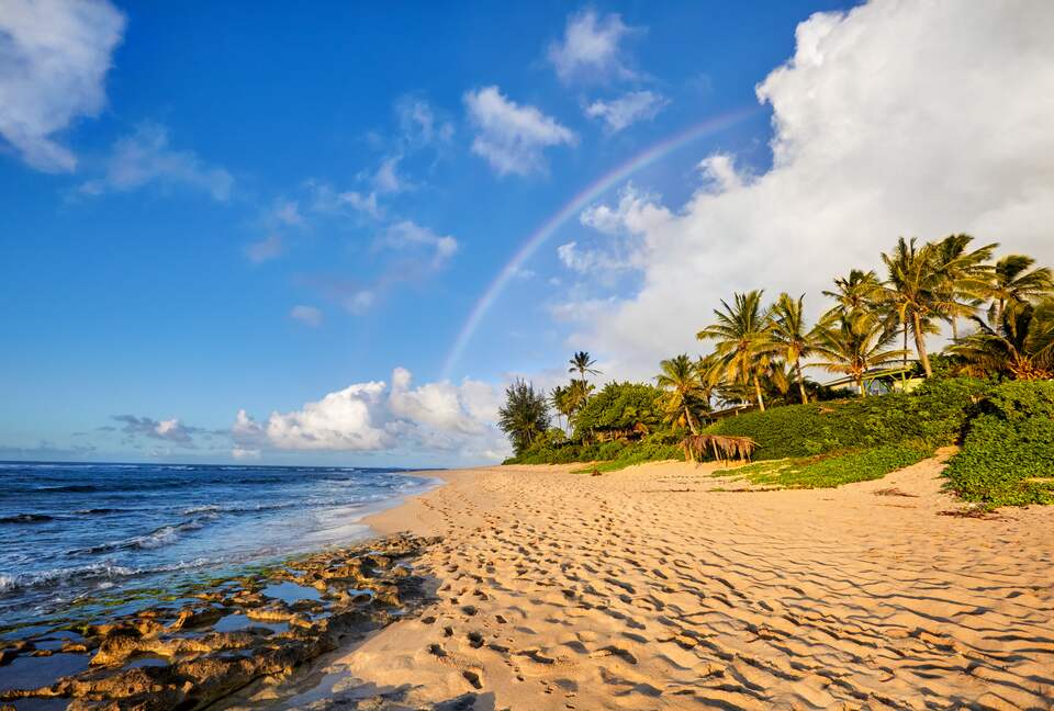 Tropical Paradise in Heart of The North Shore - Haleiwa, Hawaii