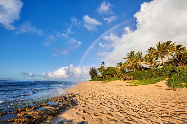 Tropical Paradise in Heart of The North Shore - Haleiwa, Hawaii