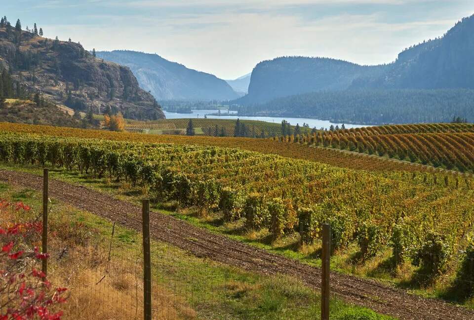 Wine Country Lakeside Retreat with private beach, rock climbing, wine tours, and more | Two Residences - Oliver, Canada