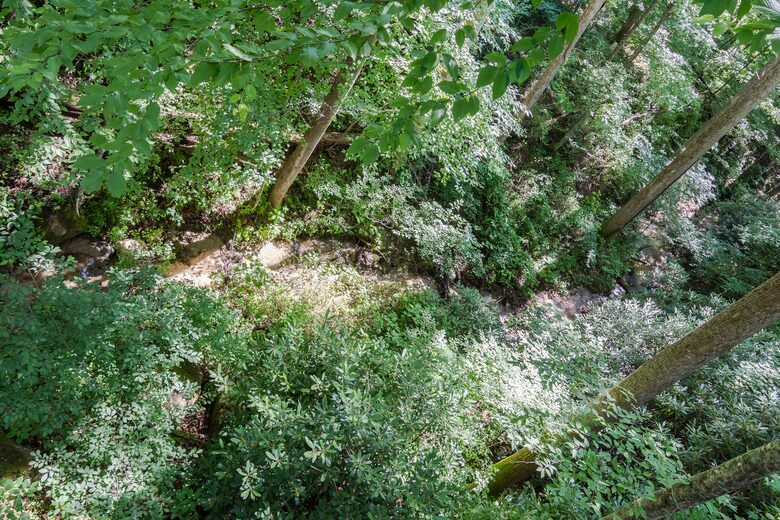 Linville Falls Getaway - Marion, North Carolina