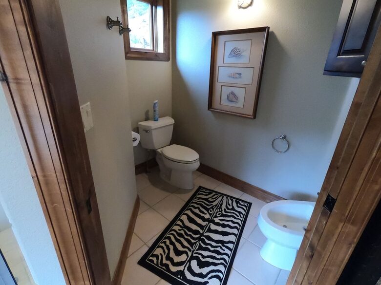 Mountain Home on Trout Creek Ranch - Woodland Park, Colorado