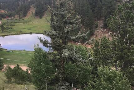 Mountain Home on Trout Creek Ranch - Woodland Park, Colorado