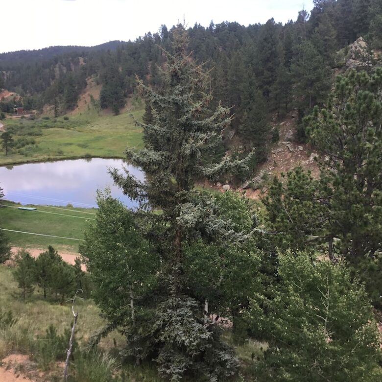 Mountain Home on Trout Creek Ranch - Woodland Park, Colorado