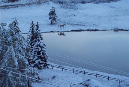 Mountain Home on Trout Creek Ranch - Woodland Park, Colorado