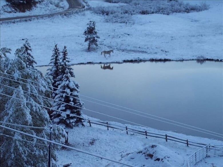 Mountain Home on Trout Creek Ranch - Woodland Park, Colorado