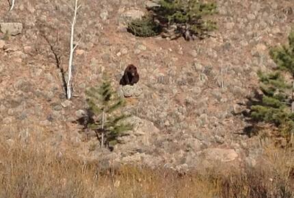Mountain Home on Trout Creek Ranch - Woodland Park, Colorado