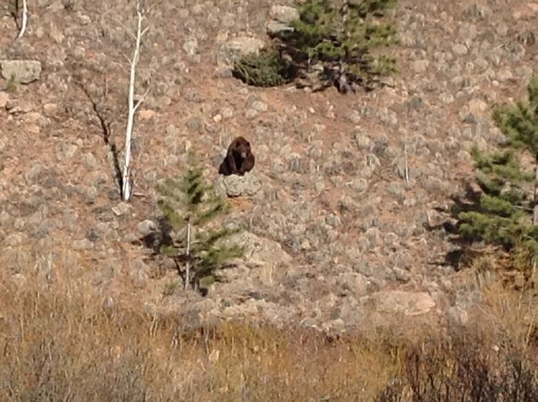 Mountain Home on Trout Creek Ranch - Woodland Park, Colorado