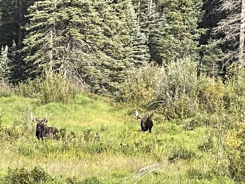 Mountain Home on Trout Creek Ranch - Woodland Park, Colorado