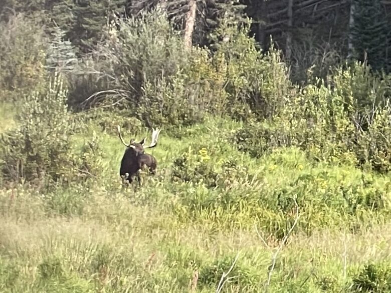 Mountain Home on Trout Creek Ranch - Woodland Park, Colorado