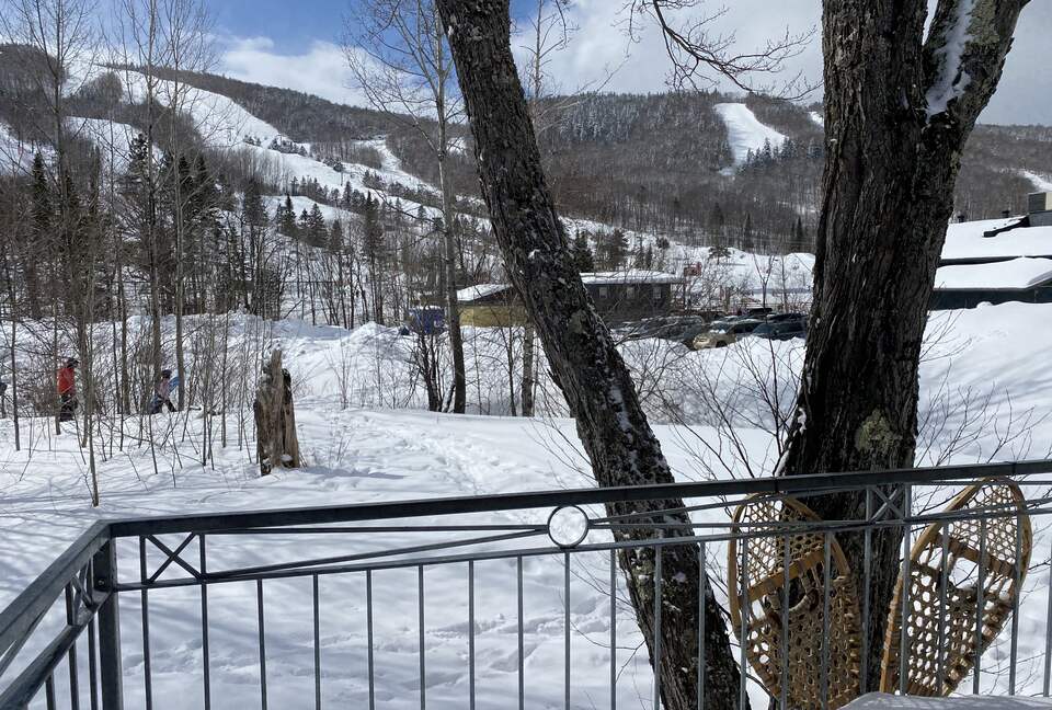 Near Old Quebec City: cozy ski-in ski-out chalet - Stoneham, Canada