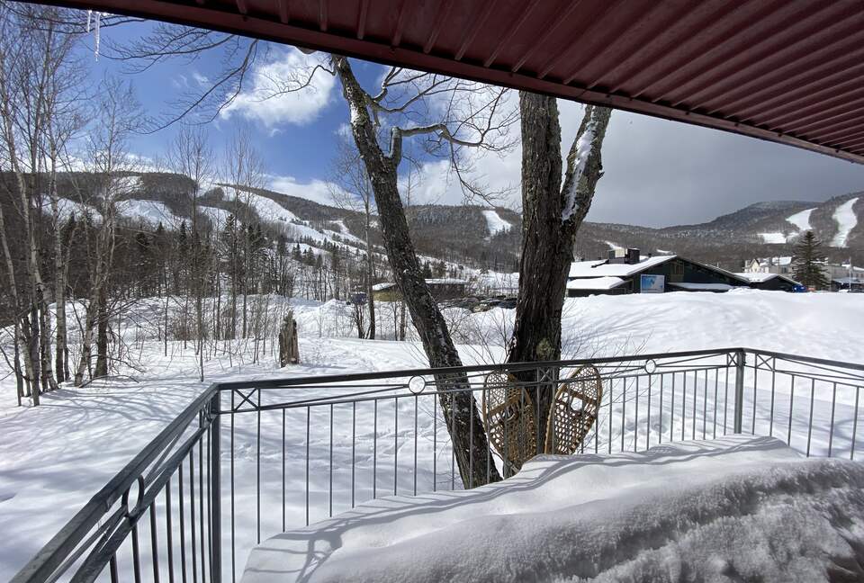 Near Old Quebec City: cozy ski-in ski-out chalet - Stoneham, Canada