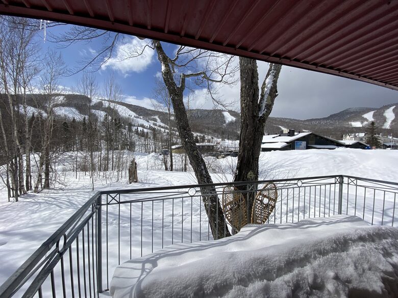 Near Old Quebec City: cozy ski-in ski-out chalet - Stoneham, Canada