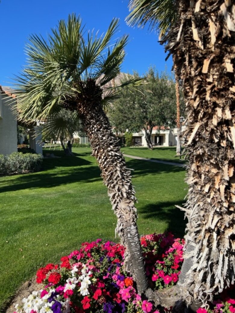 La Quinta 3-Bedroom Getaway - La Quinta, California
