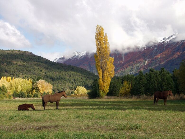 Gorgeous 880 Acre Argentina Ranch - Villa Lago Rivadavia, Argentina
