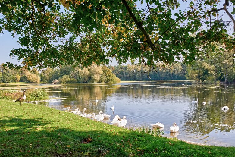Frampton Court - Gloucestershire, United Kingdom