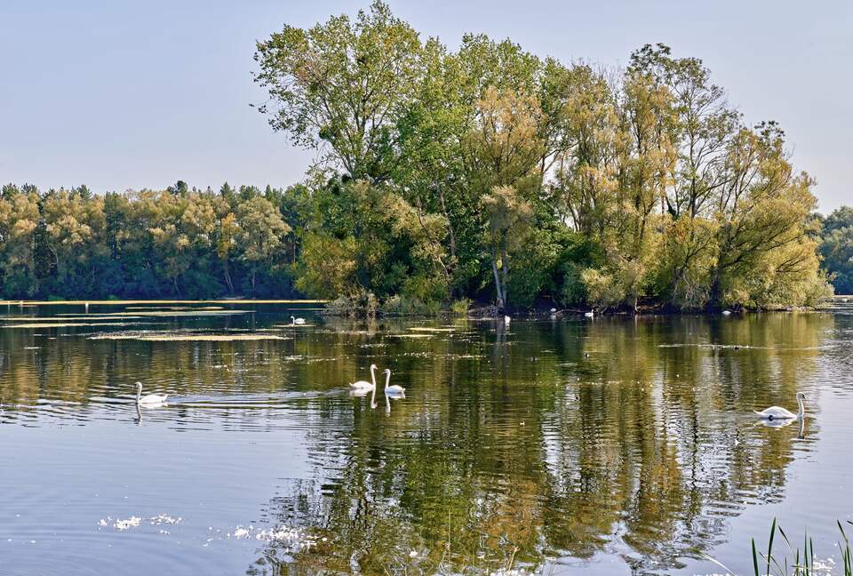 Frampton Court - Gloucestershire, United Kingdom