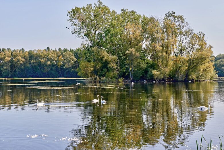 Frampton Court - Gloucestershire, United Kingdom
