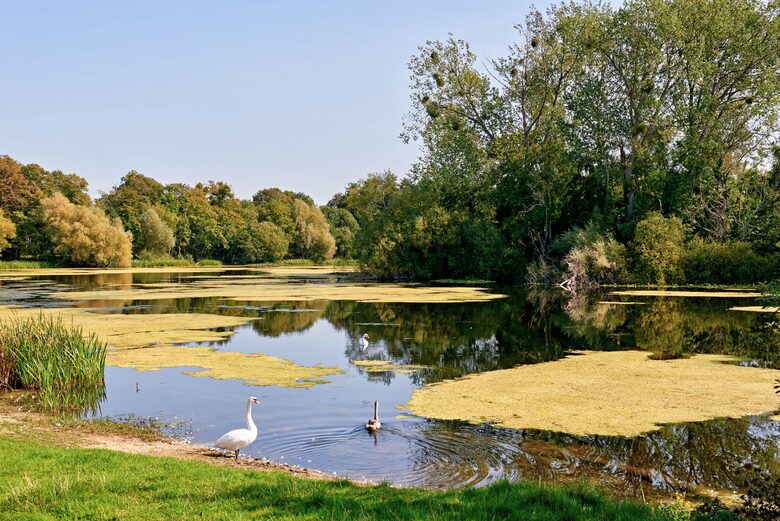 Frampton Court - Gloucestershire, United Kingdom