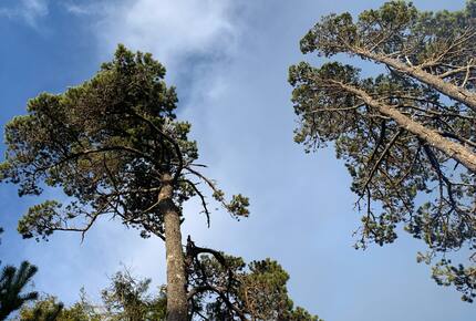 Isabella Cottage | Charming Coastal Retreat in Depoe Bay - Depoe Bay, Oregon