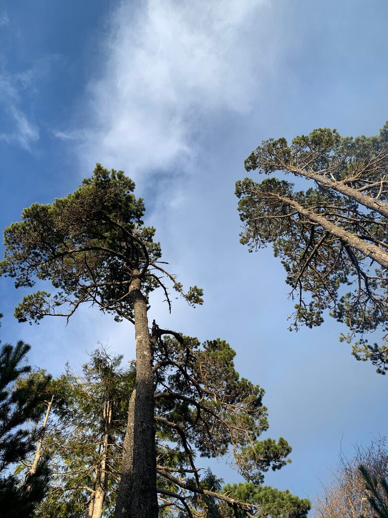 Isabella Cottage | Charming Coastal Retreat in Depoe Bay - Depoe Bay, Oregon