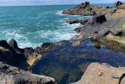 Isabella Cottage | Charming Coastal Retreat in Depoe Bay - Depoe Bay, Oregon