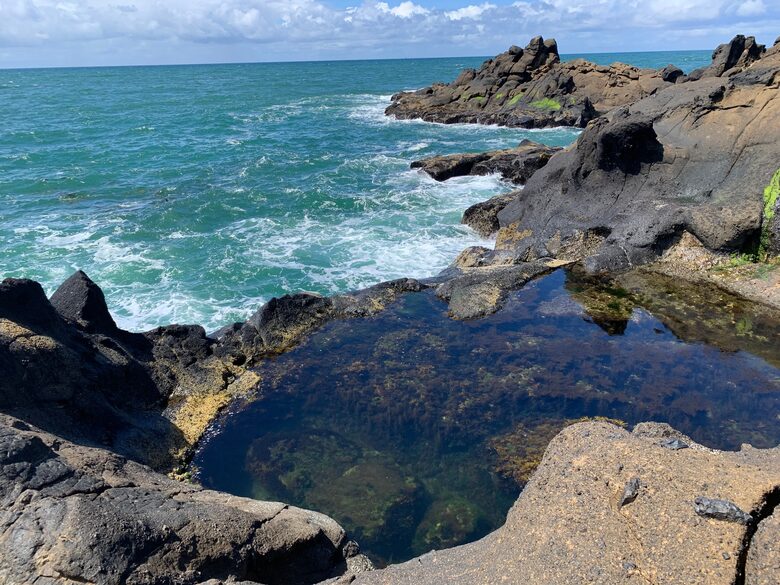 Isabella Cottage | Charming Coastal Retreat in Depoe Bay - Depoe Bay, Oregon