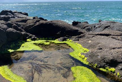 Isabella Cottage | Charming Coastal Retreat in Depoe Bay - Depoe Bay, Oregon