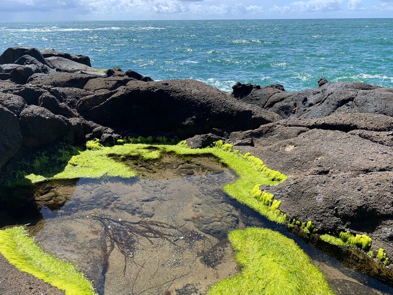 Isabella Cottage | Charming Coastal Retreat in Depoe Bay - Depoe Bay, Oregon