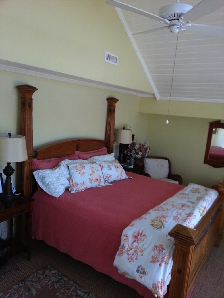 6 Sea Lavender Court - Spectacular Dune Ridge Views - Bald Head Island, North Carolina