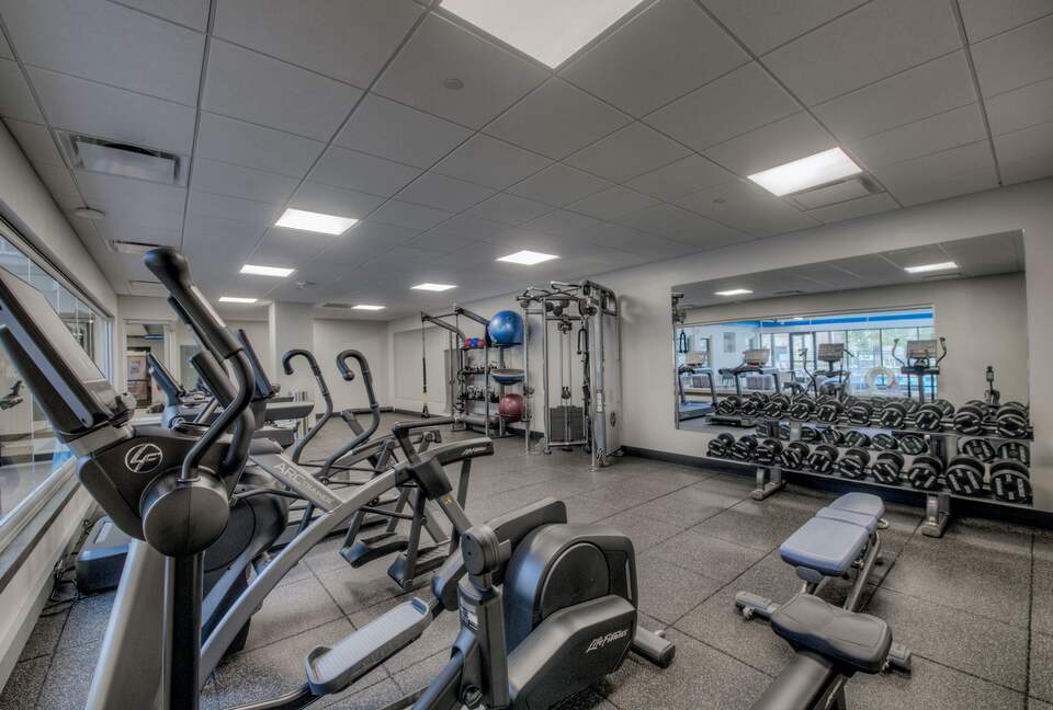 Village at Breckenridge - Ski-In/Ski-Out Peak 9 - Breckenridge, Colorado