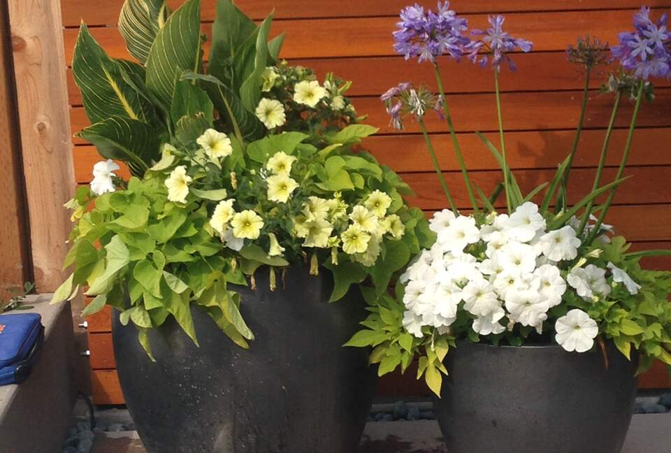 Beautiful Family Compound with Sea View on the Oregon Coast - Gearhart, Oregon