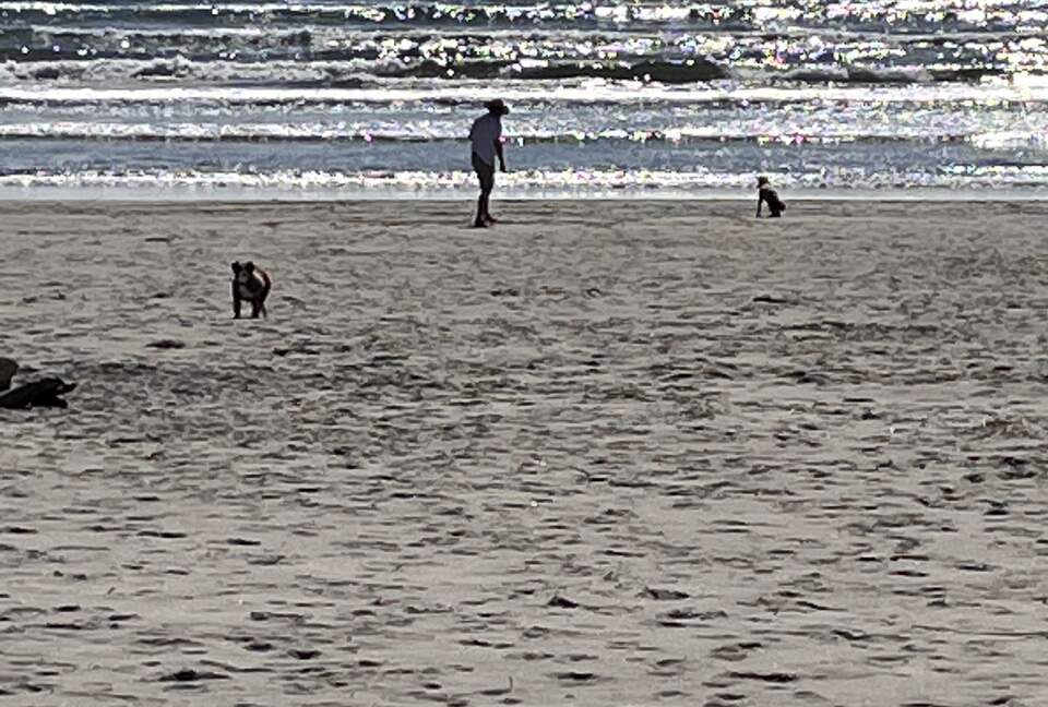 Beautiful Family Compound with Sea View on the Oregon Coast - Gearhart, Oregon