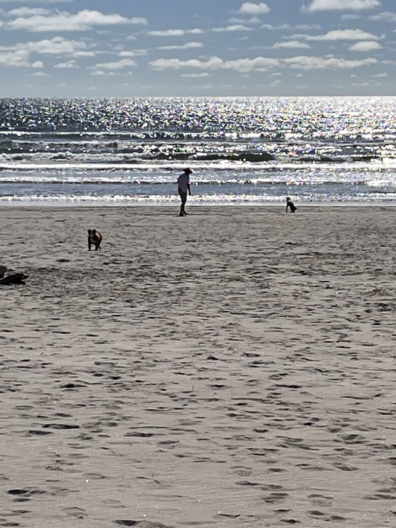 Beautiful Family Compound with Sea View on the Oregon Coast - Gearhart, Oregon
