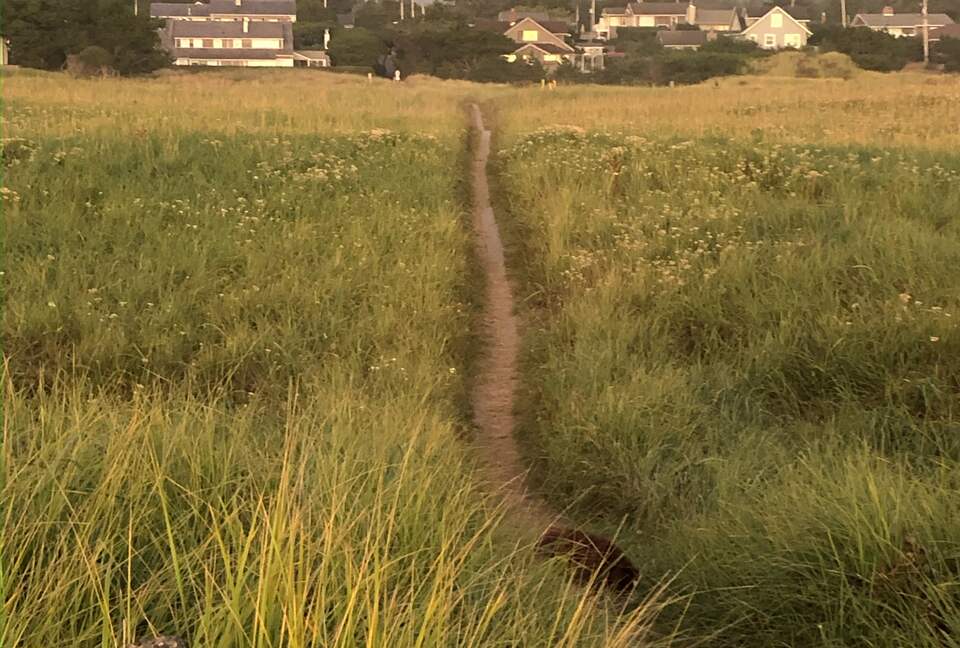 Beautiful Family Compound with Sea View on the Oregon Coast - Gearhart, Oregon